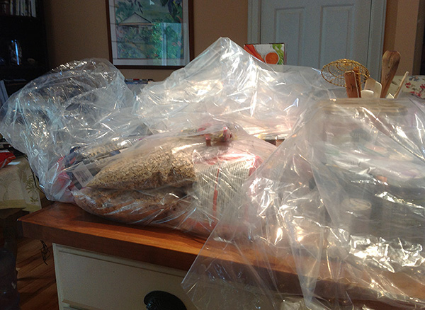 Les produits, les ustensiles, les jouets pour enfants et les vêtements peuvent être placés dans des sacs en plastique avant le traitement.