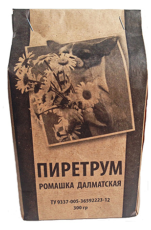 La poudre de grande camomille est un insecticide naturel fabriqué à partir de fleurs séchées de camomille de Dalmatie.