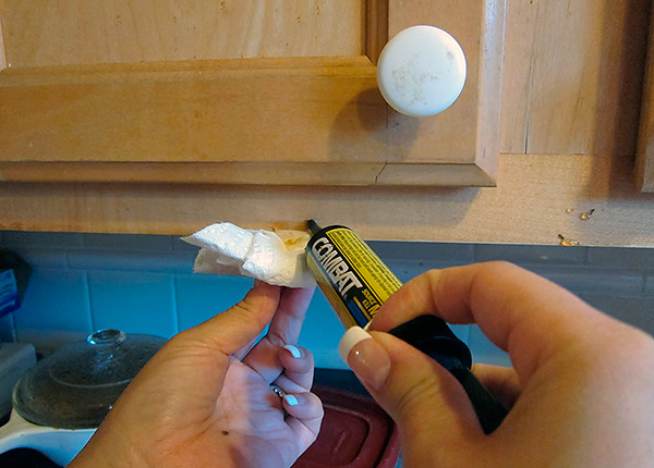 Gel de combat insecticide