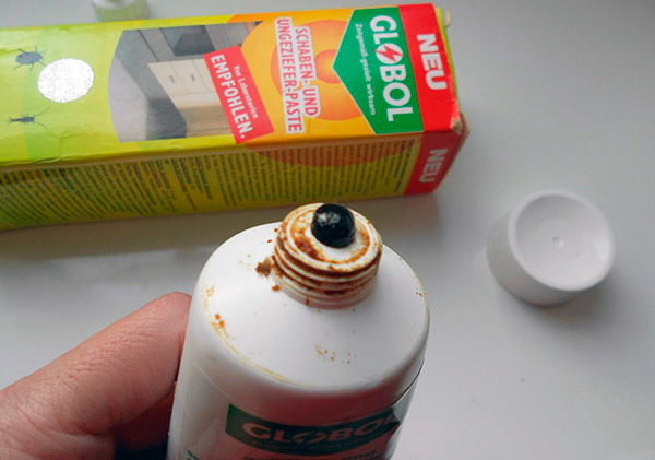 La photo montre à quoi ressemble le gel de cafard allemand Globol.