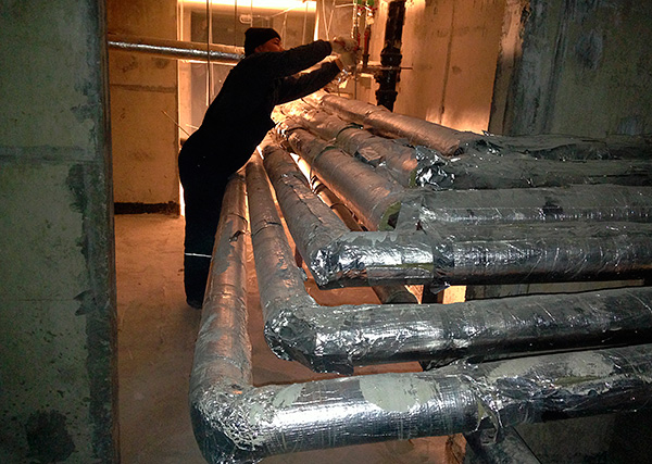 En été, les plombiers des sous-sols des immeubles à appartements attrapent souvent des dizaines de puces sur leurs vêtements à la fois.