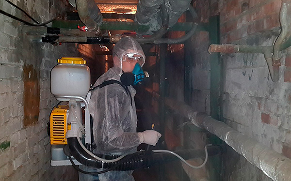 Pour traiter le sous-sol d'un immeuble d'habitation contre les puces, vous pouvez faire appel à un service privé de lutte antiparasitaire ou SES.