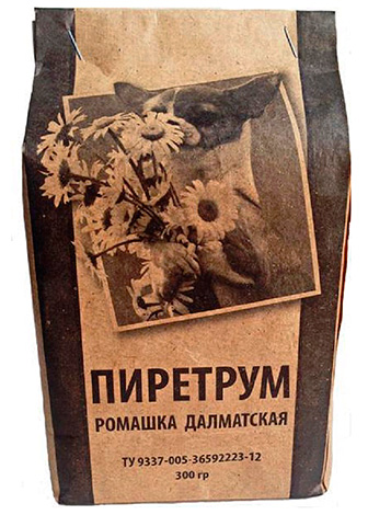 Grande camomille (poudre de camomille dalmate).