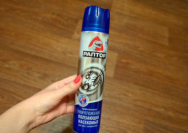 À l'aide de préparations en aérosol, il est possible d'éradiquer rapidement les cafards d'un appartement.