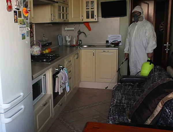 En règle générale, le traitement d'un appartement d'une pièce à partir de cafards coûtera entre 1 500 et 2 000 roubles.