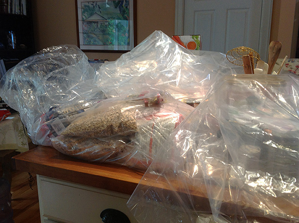 Il est important d'éviter que les aliments et les jouets des enfants n'entrent en contact avec l'insecticide.