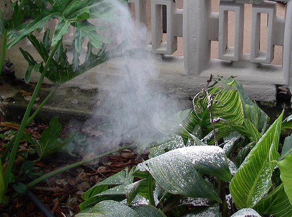 Le médicament donne le plus grand effet lorsqu'il est traité avec des abris et une accumulation de parasites.