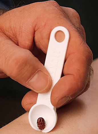 Spatule d'élimination des tiques cochée