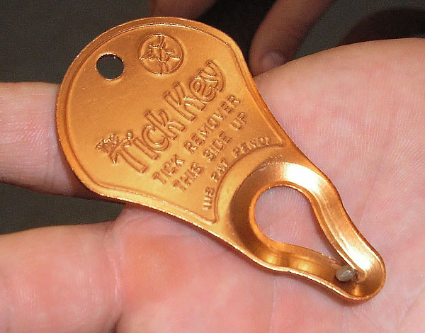 Dans la rainure excitante de la clé, une tique retirée de la plaie est visible.