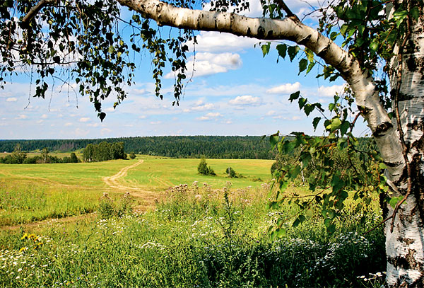 Les plus riches en animaux hôtes et en tiques sont les biocénoses frontalières situées à la jonction de plusieurs biotopes.