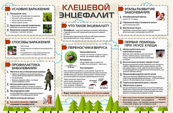 Pour différents établissements, ces stands peuvent différer à la fois extérieurement et par leur contenu.