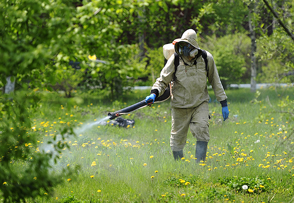 Pour traiter une grande surface de tiques, il est conseillé d'appeler un service spécial.