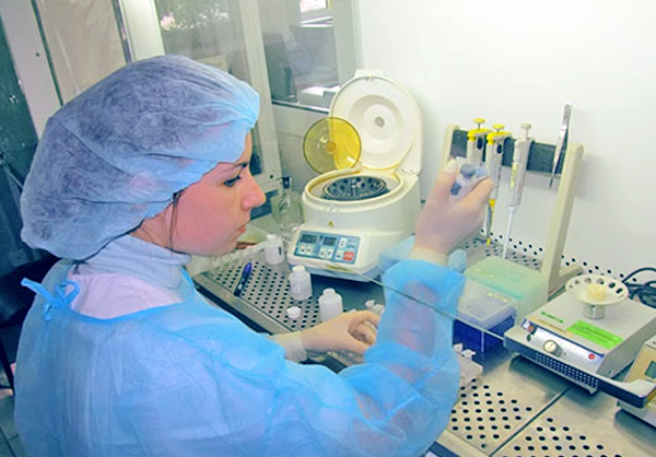 En règle générale, l'examen d'une tique pour l'encéphalite nécessite 3 à 4 heures de temps, mais peut être plus long en raison de la lourde charge de travail de la clinique.