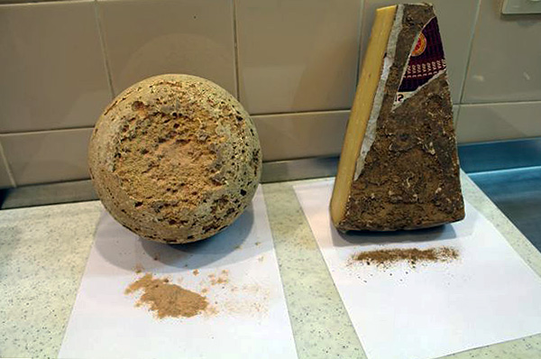 Fromage endommagé par un acarien