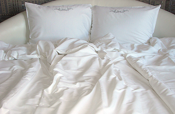 En règle générale, des efforts réguliers pour maintenir la propreté dans la pièce peuvent empêcher la reproduction massive d'acariens.