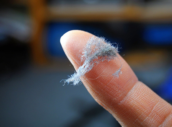 Parlez des réactions allergiques aux acariens...