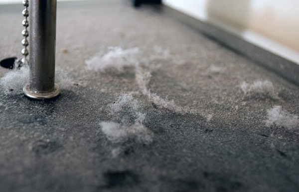 Avec la sensibilisation aux tiques, une allergie chez une personne peut se manifester dans n'importe quelle pièce où vivent les acariens.