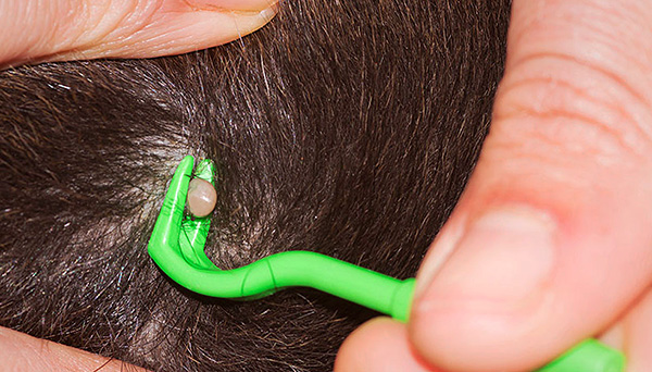 Un exemple d'utilisation d'une pince sous la forme d'un crochet avec une fente.