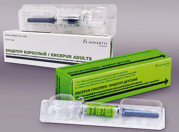 Encepur (adulte et enfant)