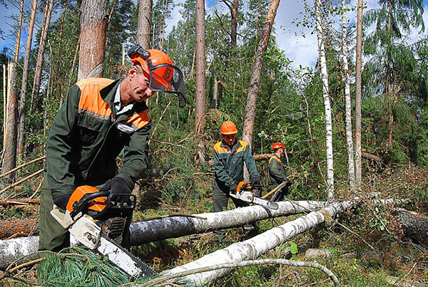 La vaccination est particulièrement nécessaire pour les personnes travaillant dans des conditions de risque accru d'infection.