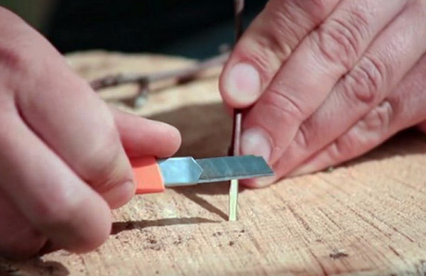 Un ticker fait maison peut être fabriqué à partir d'un bâton en bois.