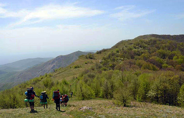 Les personnes qui séjournent longtemps en forêt dans une zone épidémiologiquement défavorisée sont les plus exposées.