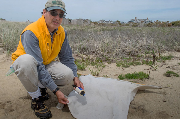 Acarologue sur le terrain - vous pouvez clairement voir comment il est habillé