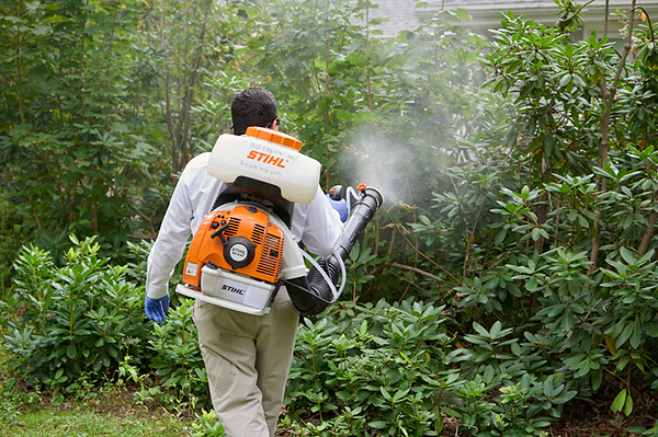 Le traitement du site contre les tiques ne doit pas être effectué avant la pluie et immédiatement après la pluie.