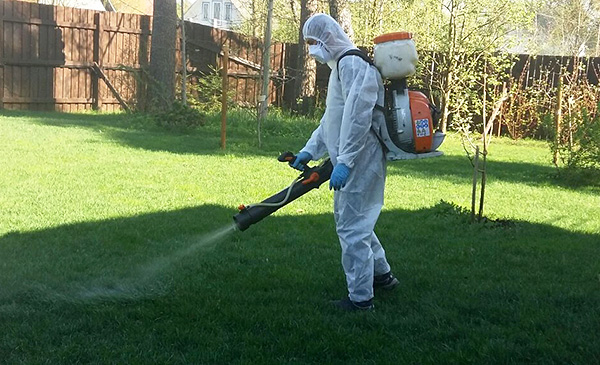 Un exemple de traitement d'un site par un spécialiste de la lutte antiparasitaire.