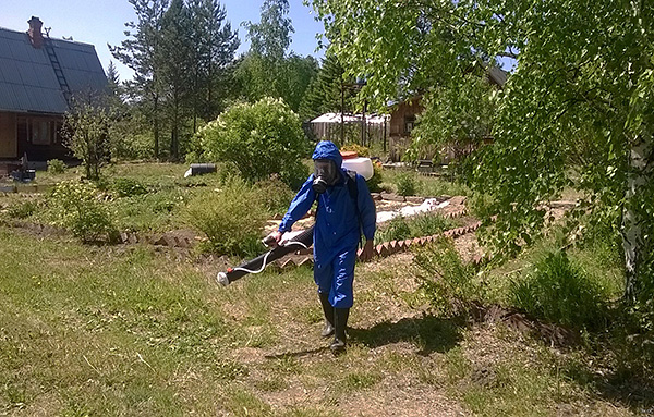 Nous découvrons les règles pour un traitement efficace du site contre les tiques ...