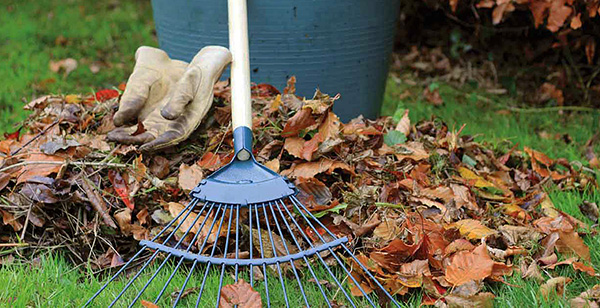 Pour obtenir le plus grand effet, le site doit être correctement préparé pour le traitement ...