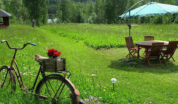 Les tiques peuvent être trouvées non seulement dans la forêt, mais aussi sur la pelouse juste en face de la maison.