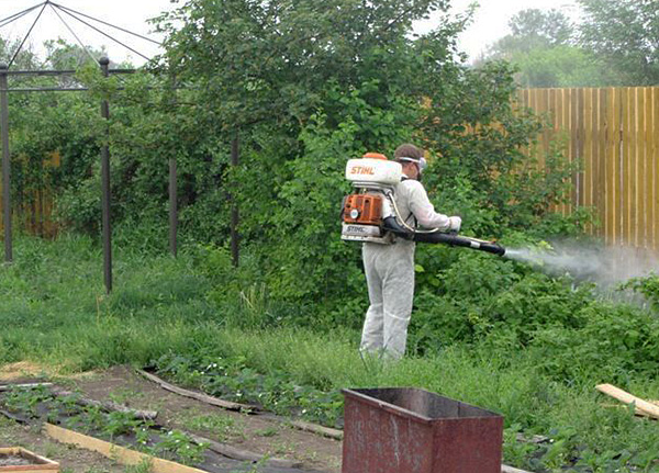 Cela ressemble au traitement du territoire par des professionnels ...