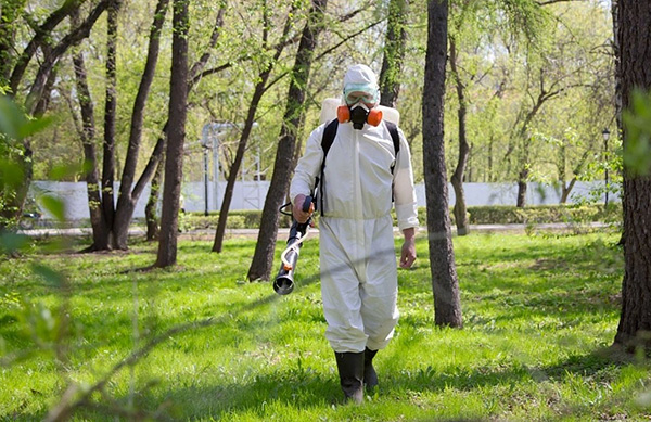 La désacarisation professionnelle du site est une prestation coûteuse...