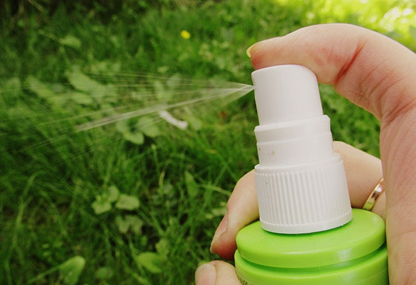 Voyons quels remèdes contre les tiques existent aujourd'hui et comment choisir la meilleure option pour vous-même ...