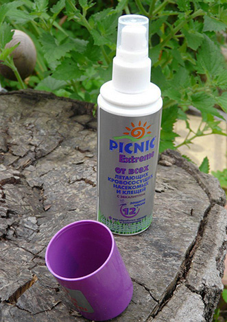 Pique-nique extrême