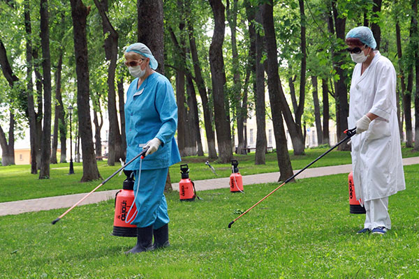 Traitement des tiques