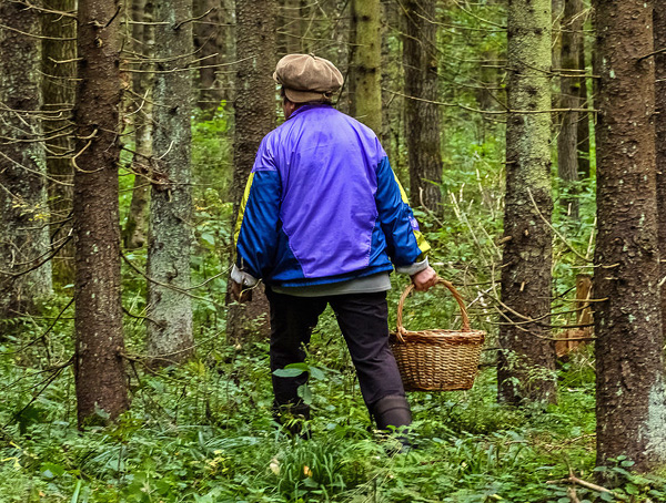 Vêtements appropriés pour la randonnée dans les bois