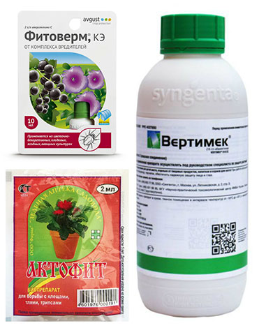 Insecticides contre les tiques