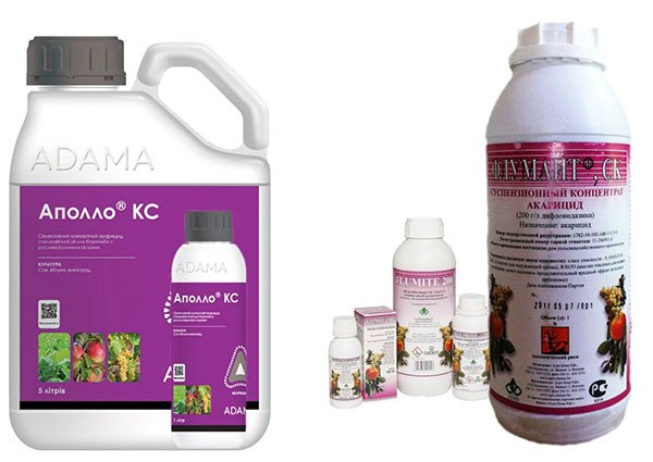 Insecticides hormonaux contre les tiques