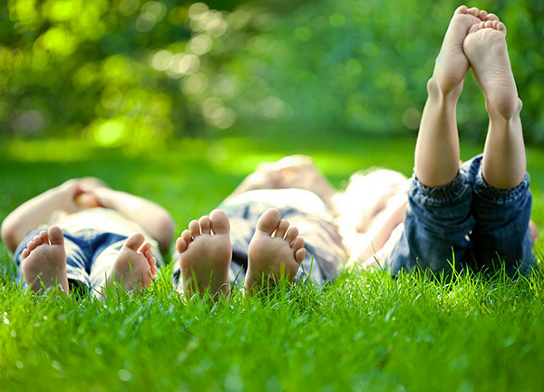 L'herbe sur le site traité contre les tiques devient sans danger pour les personnes et les animaux une fois que la solution appliquée a complètement séché dessus.