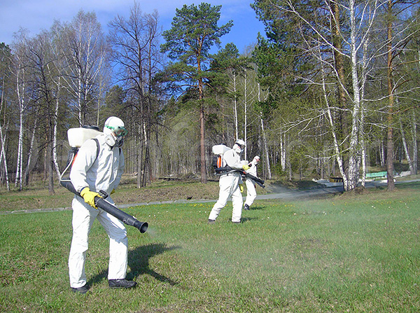 Dans certaines régions, il suffit de réaliser un seul traitement contre les tiques au printemps.