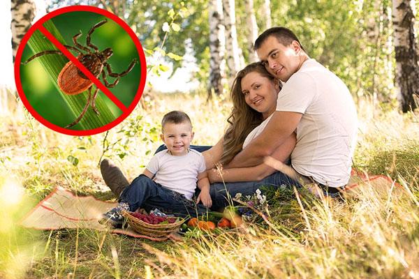 Nous découvrons s'il est conseillé de souscrire une assurance contre une tique et sur quelle indemnisation vous pouvez compter...
