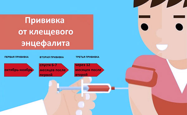 Vaccination contre l'encéphalite à tiques