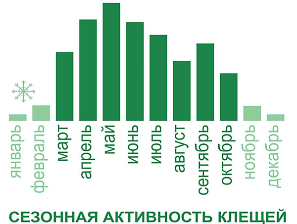 Activité saisonnière des tiques