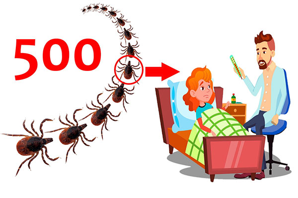 Une tique sur 500 peut être porteuse d'encéphalite