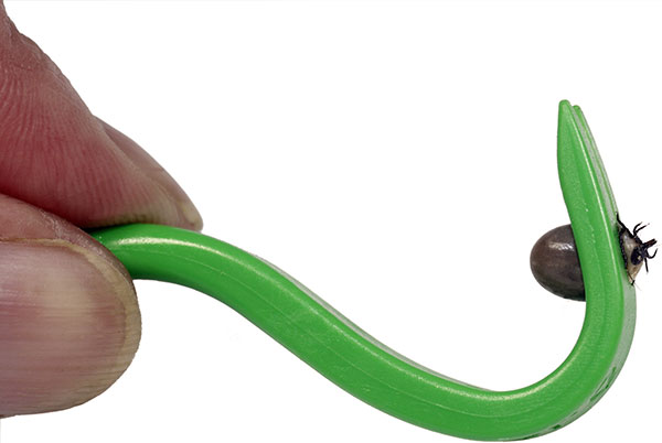 Extracteur de tiques