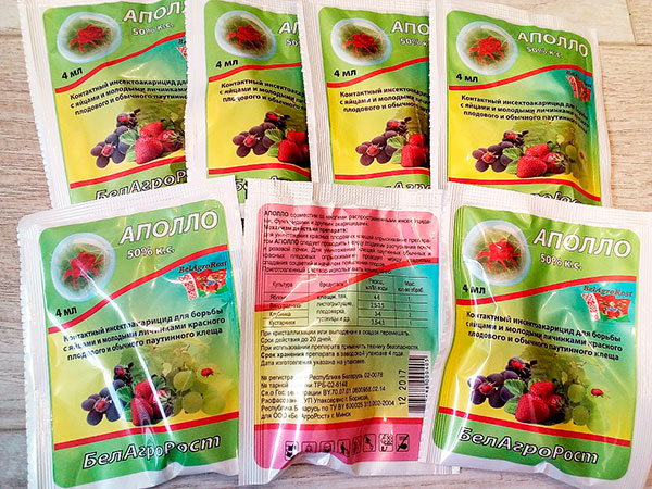 Médicament hormonal Apollo - l'un des remèdes les plus sûrs contre les acariens