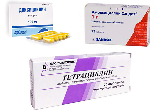 Médicaments contre la borréliose