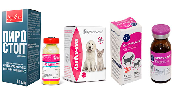 Médicaments contre la piroplasmose